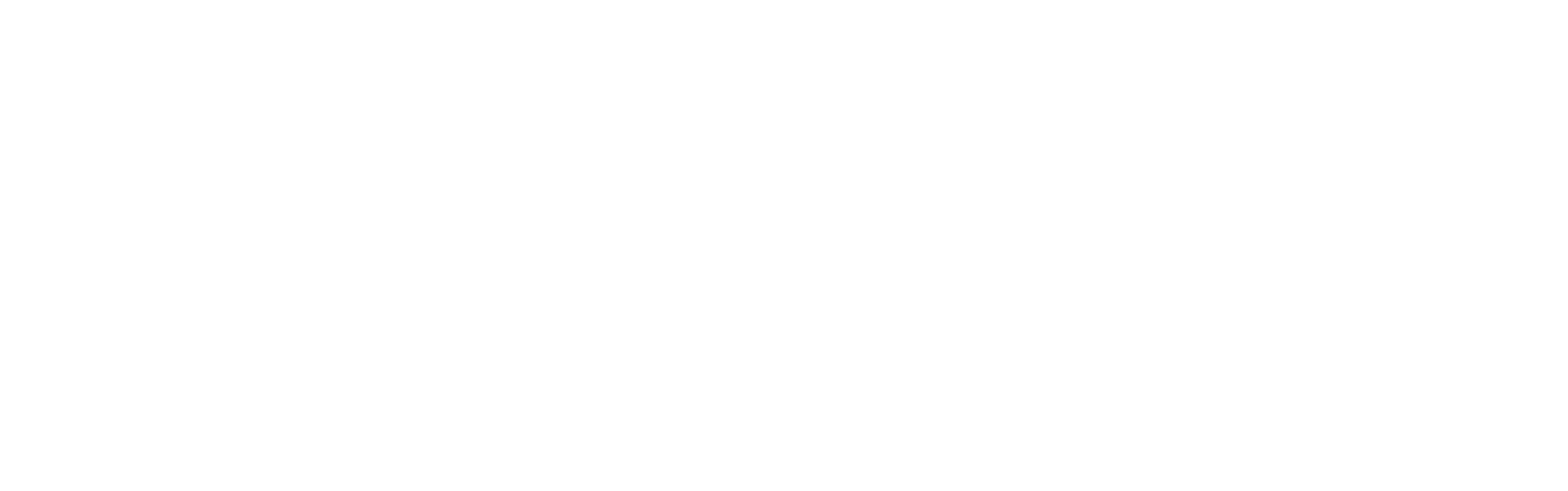 StonePlus